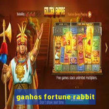 ganhos fortune rabbit